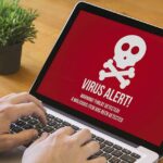 Computer Virus Before Damage